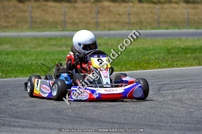 DSC_ (1474).jpg